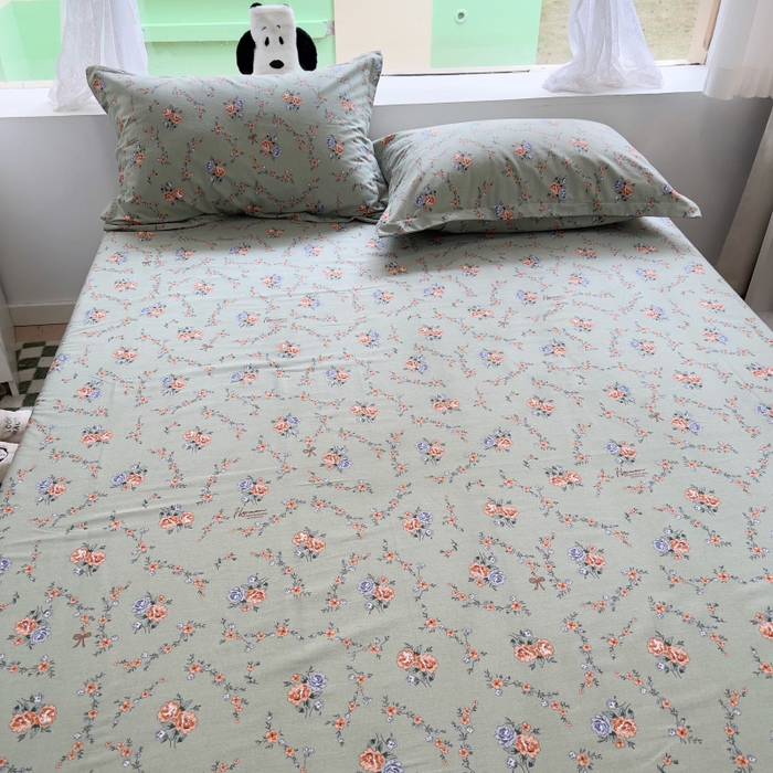 91家纺网 家纺一手货源 找家纺 （总）百寐 2025新款秋冬全棉生态磨毛印花单品枕套48*74cm单只一对枕芯保护套