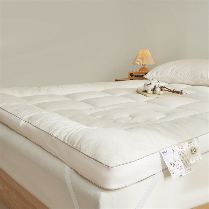 91家纺网 家纺一手货源 找家纺 西域种棉人·千百笠2025新款A类填充100%棉新疆棉花褥子床垫垫被软垫家用棉花被褥铺底全棉冬季加厚保暖 简语床垫-白