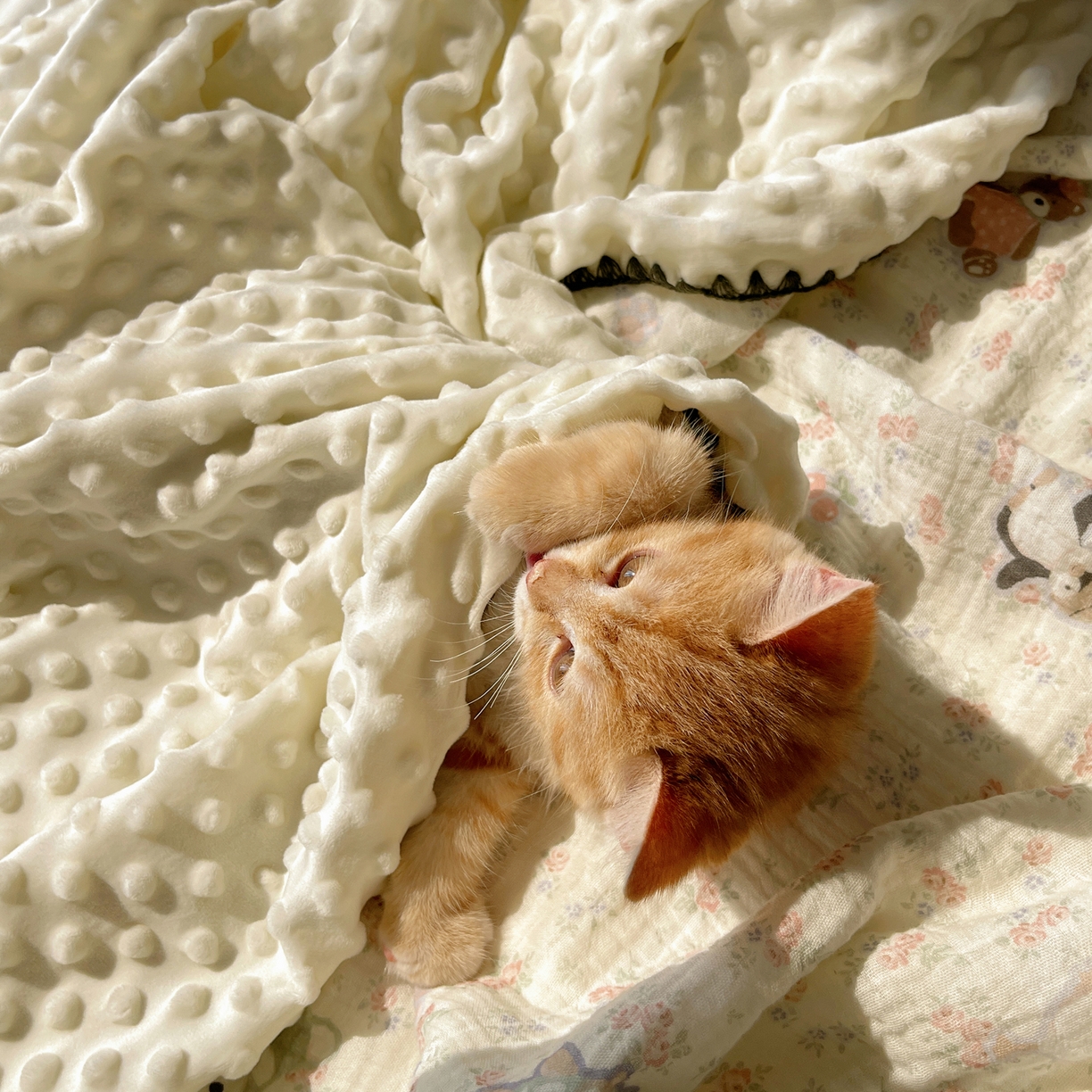 91家纺网 家纺一手货源 找家纺 三朵家纺 2025新款全棉纯棉绉绉纱+宝宝绒多功能毯盖毯毯子 开心花园