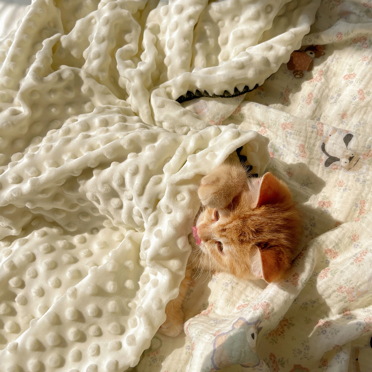 91家纺网 家纺一手货源 找家纺 三朵家纺 2025新款全棉纯棉绉绉纱+宝宝绒多功能毯盖毯毯子 开心花园