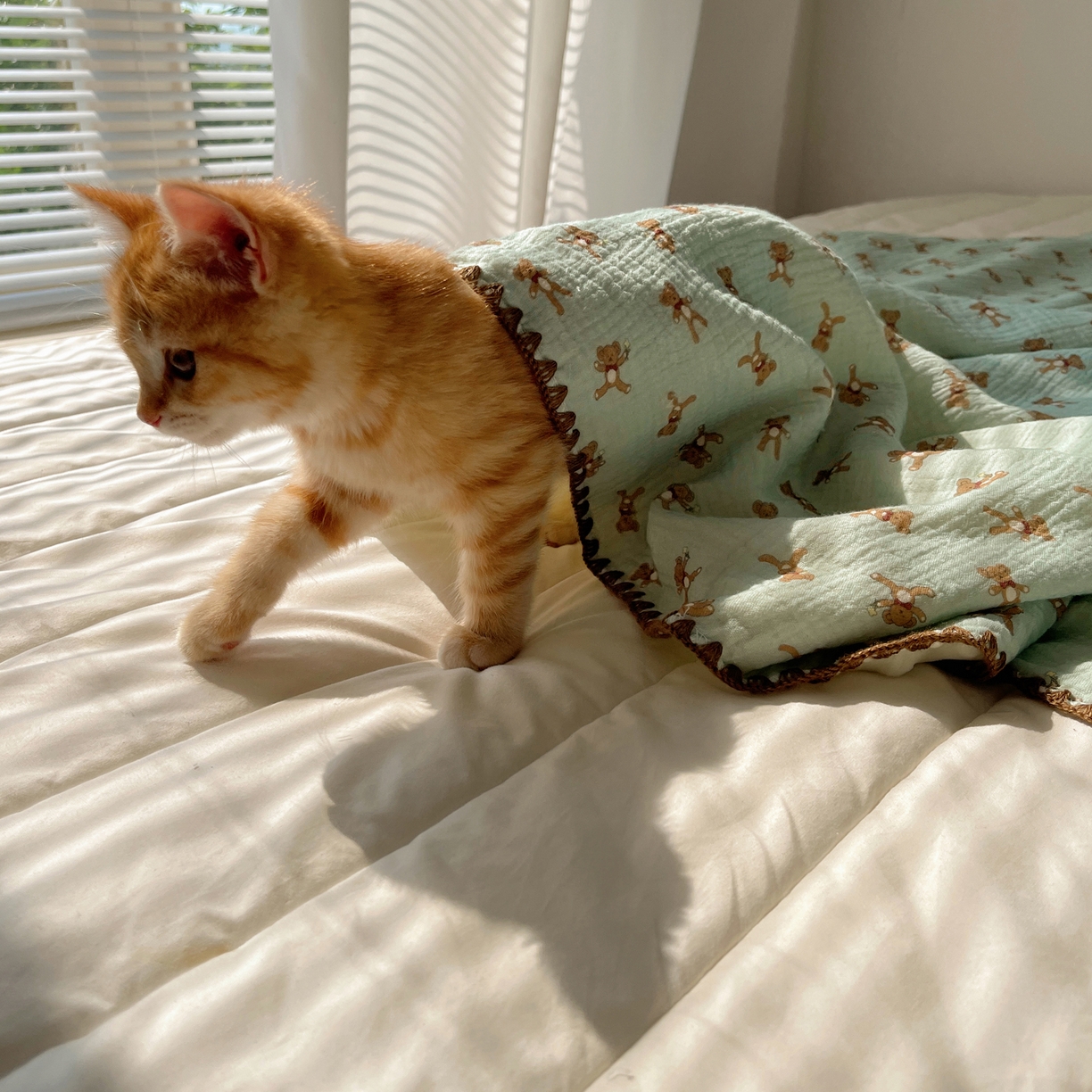 91家纺网 家纺一手货源 找家纺 三朵家纺 2025新款全棉纯棉绉绉纱+宝宝绒多功能毯盖毯毯子 复古小熊