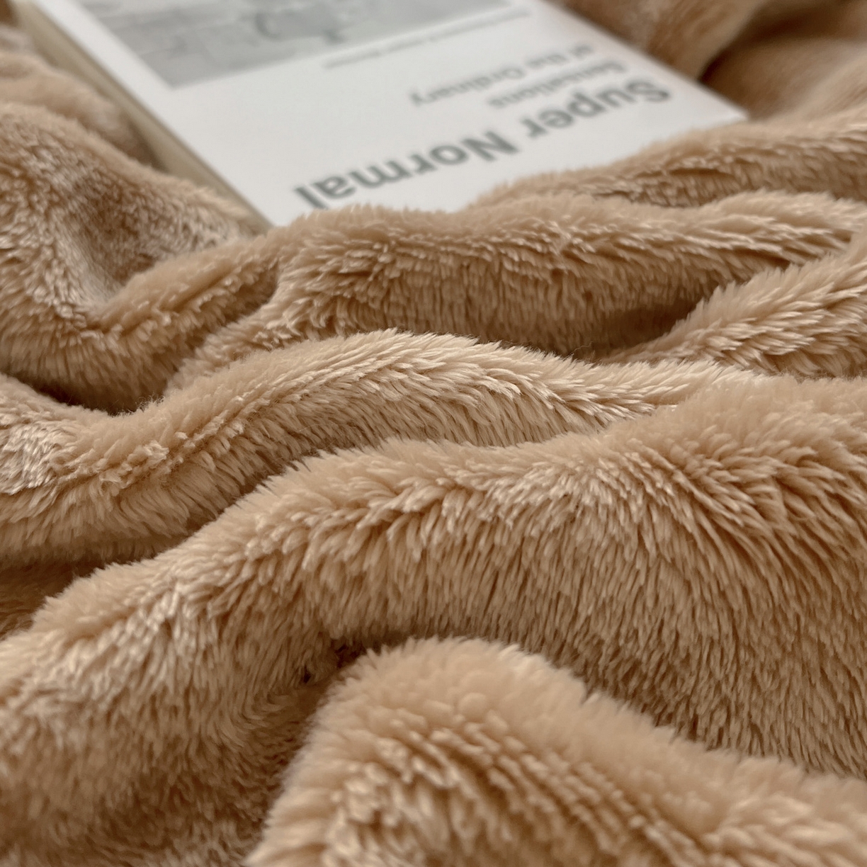 91家纺网 家纺一手货源 找家纺 耀悦家纺 2025秋冬暖阳泡泡高克重牛奶绒双面泡泡毛毯毯子多功能盖毯外贸批发 暖阳泡泡-深咖