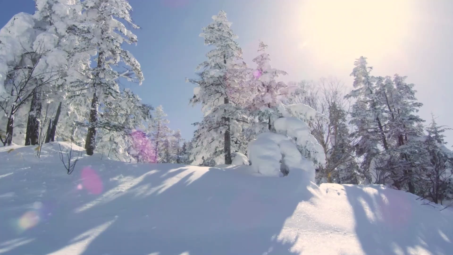 91家纺网 家纺一手货源 找家纺 悦织湾家纺 2025新款仿棉印花纯色学生被春秋被冬被四季通用被子被芯量多价优整年不断货 蓝色印象