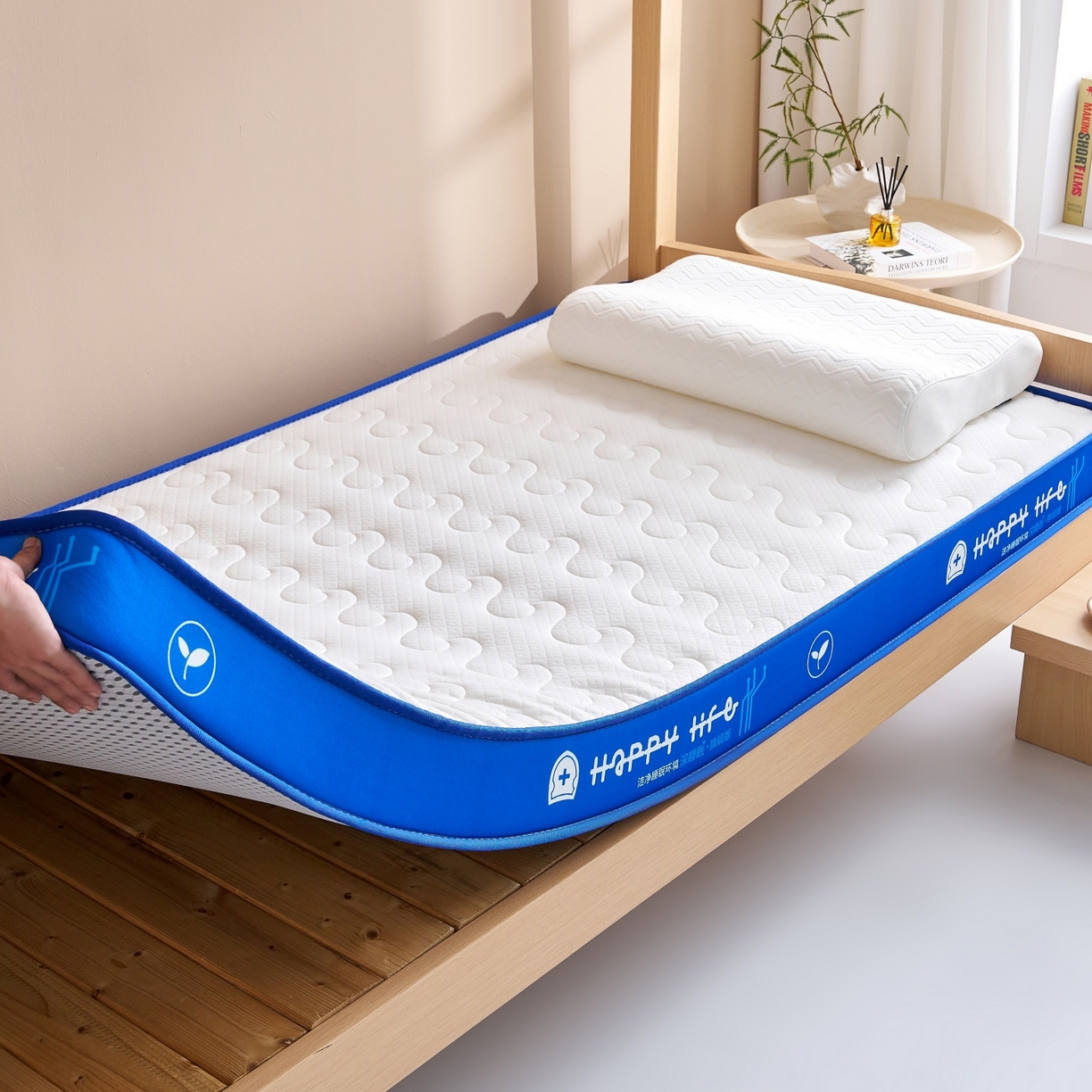 91家纺网 家纺一手货源 找家纺 奇丝雅 2025新款针织棉学生宿舍床专用加厚记忆棉海绵立体乳胶床垫【高密记忆棉】 繁花-兰（9公分）