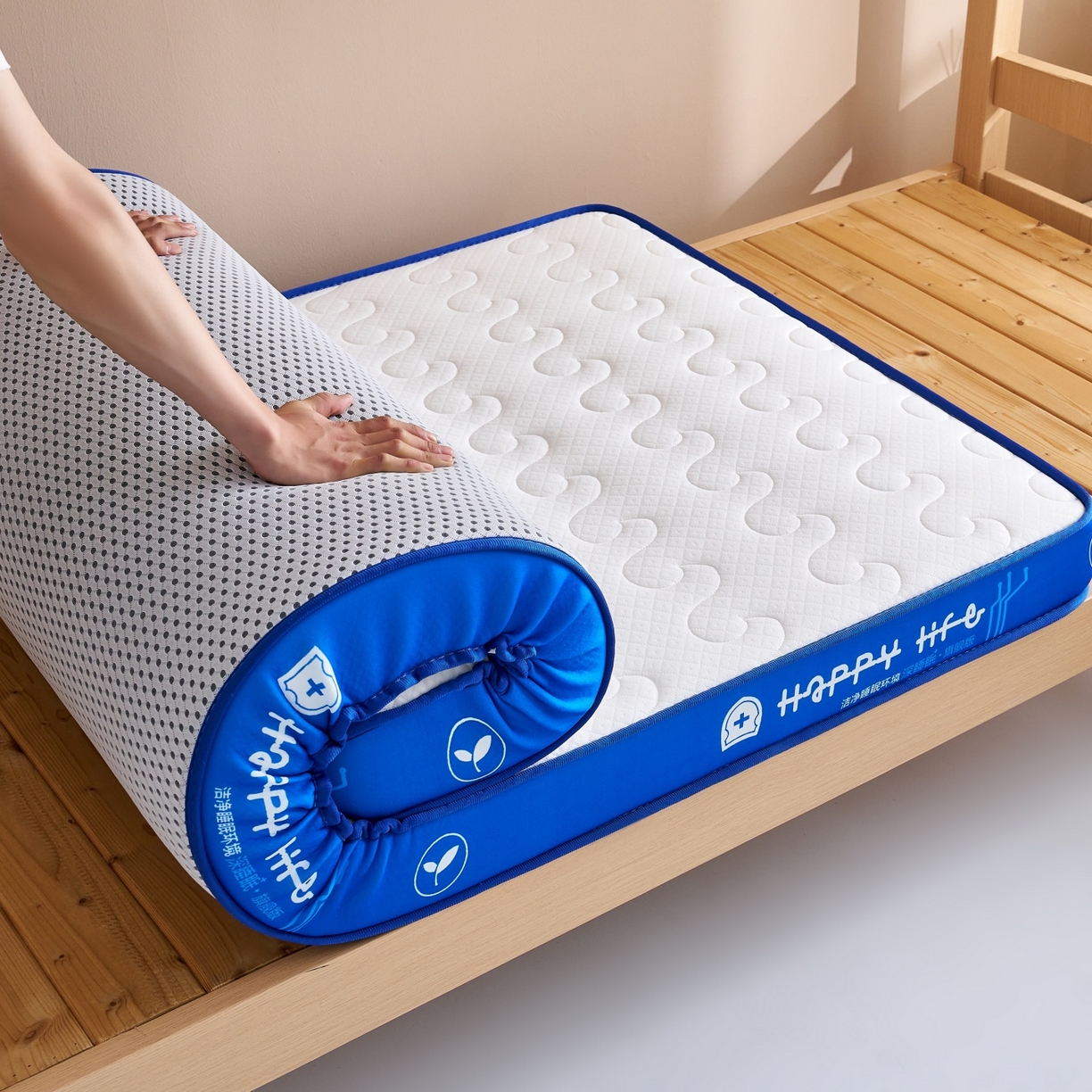 91家纺网 家纺一手货源 找家纺 奇丝雅 2025新款针织棉学生宿舍床专用加厚记忆棉海绵立体乳胶床垫【高密记忆棉】 繁花-兰（9公分）