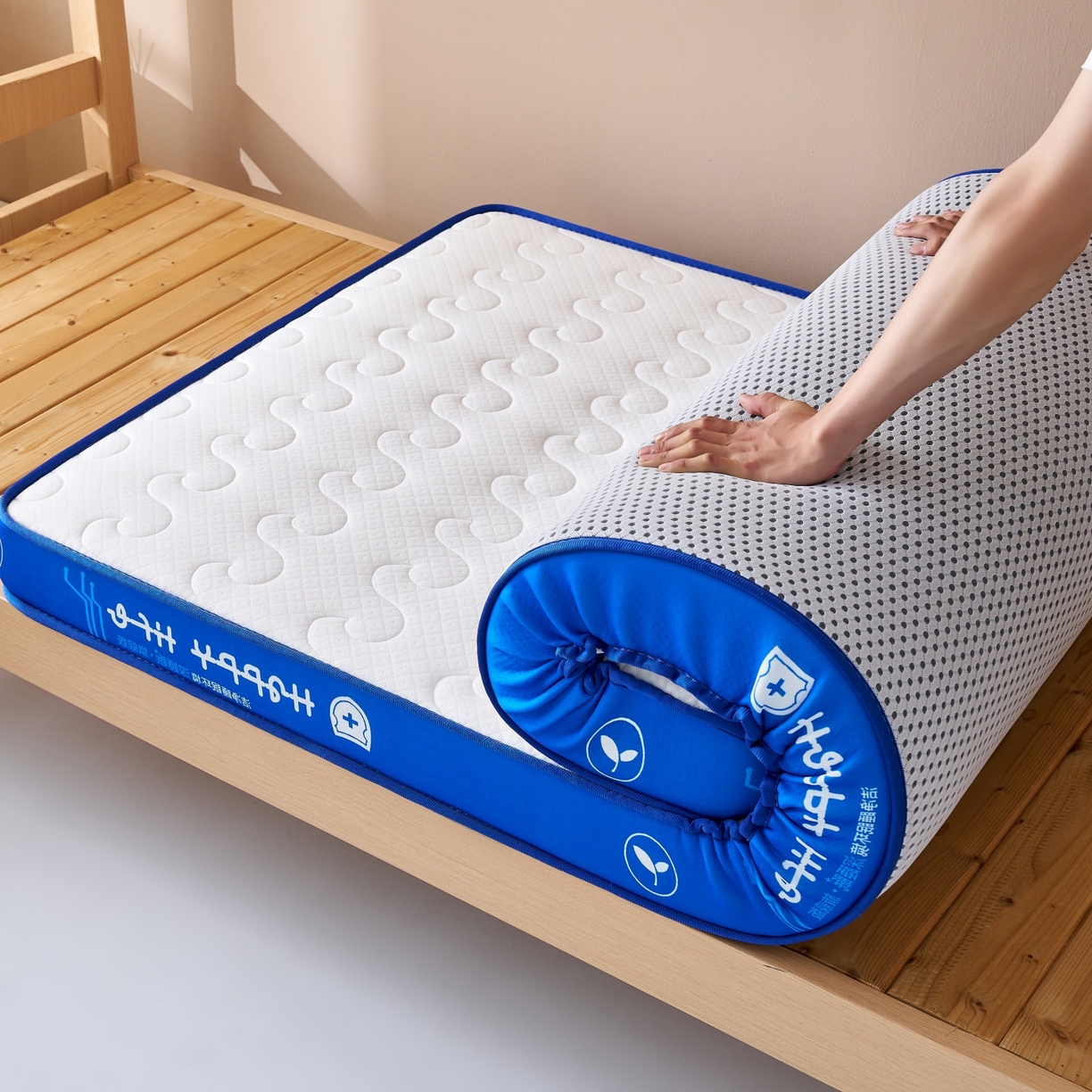 91家纺网 家纺一手货源 找家纺 奇丝雅 2025新款针织棉学生宿舍床专用加厚记忆棉海绵立体乳胶床垫【高密记忆棉】 繁花-兰（9公分）