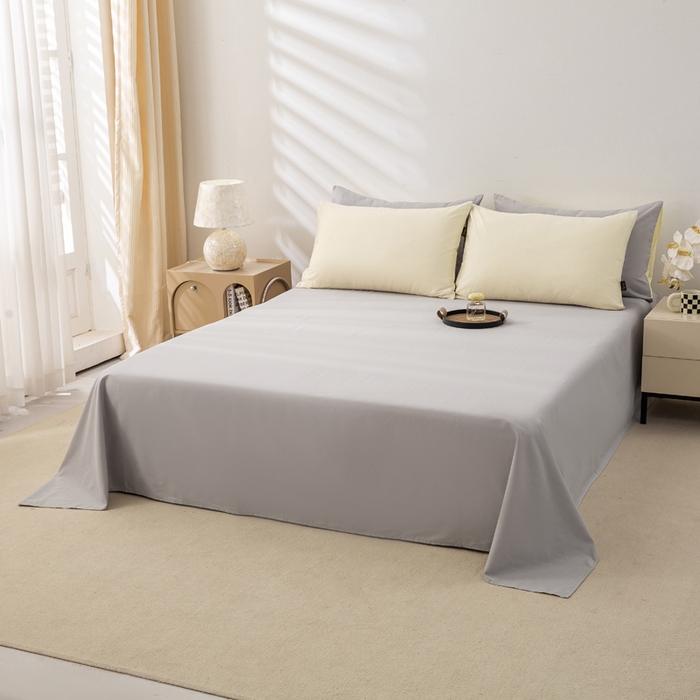 91家纺网 家纺一手货源 找家纺 憨豆家纺 2025新款全棉磨毛床单加厚长绒棉纯色学生宿舍贡缎100%纯棉床单 梦境--单件床单（银灰）