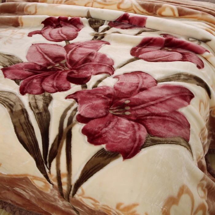 91家纺网 家纺一手货源 找家纺 （总）好艺佳毛毯 2025新款（经典版）拉舍尔毛毯学生毯宿舍婚庆加厚双层毯子绒毯盖毯不掉毛毛毯