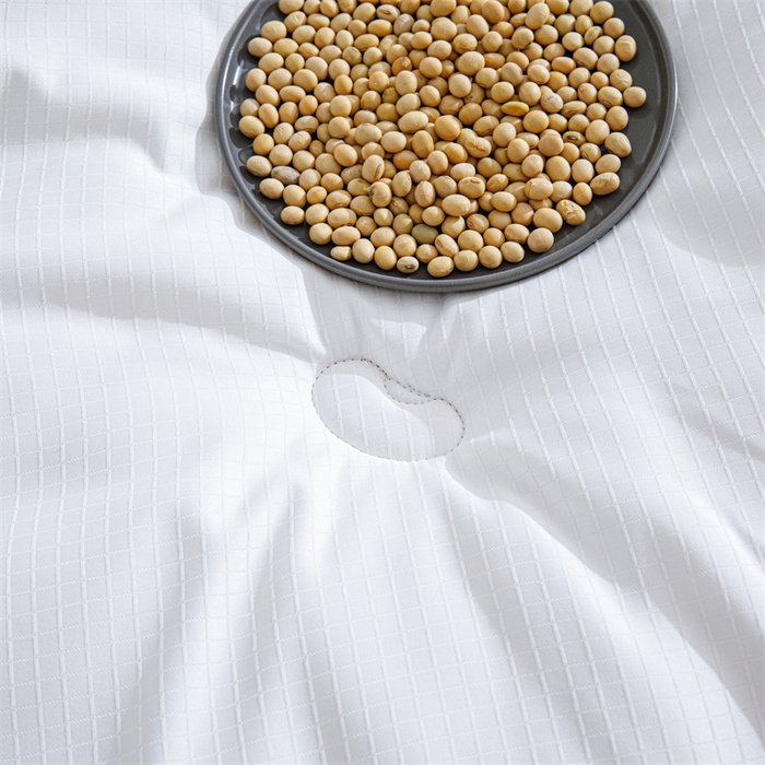 91家纺网 家纺一手货源 找家纺 天瑜家纺 2025新款原棉提花大豆被子母被春秋被子被芯 白色