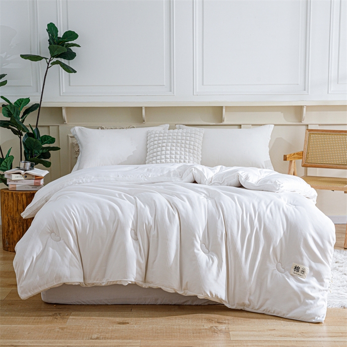 91家纺网 家纺一手货源 找家纺 天瑜家纺 2025新款原棉提花大豆被子母被春秋被子被芯 白色