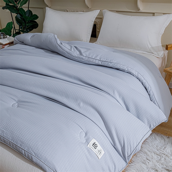 91家纺网 家纺一手货源 找家纺 天瑜家纺 2025新款原棉提花大豆被子母被春秋被子被芯 灰色