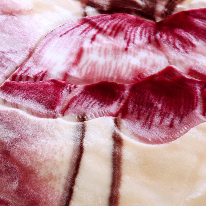 91家纺网 家纺一手货源 找家纺 好艺佳毛毯 2025新款（经典版）拉舍尔毛毯学生毯宿舍婚庆加厚双层毯子绒毯盖毯不掉毛毛毯 繁花香舍-豆沙