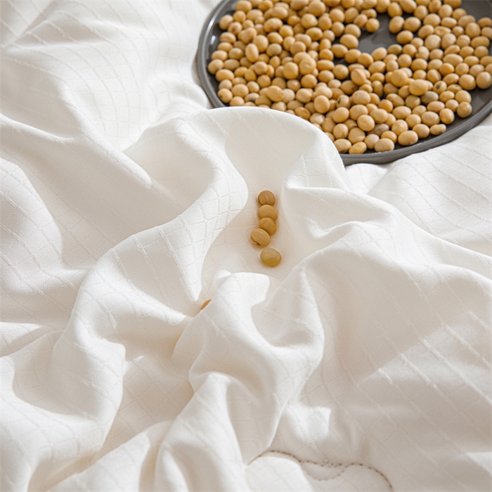 91家纺网 家纺一手货源 找家纺 （总）天瑜家纺 2025新款原棉提花大豆被子母被春秋被子被芯