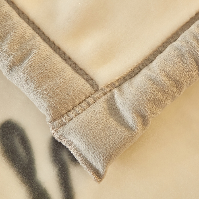 91家纺网 家纺一手货源 找家纺 好艺佳毛毯 2025新款（升级版）拉舍尔毛毯学生毯宿舍婚庆加厚双层毯子绒毯盖毯不掉毛毛毯 升级版-唯美主义