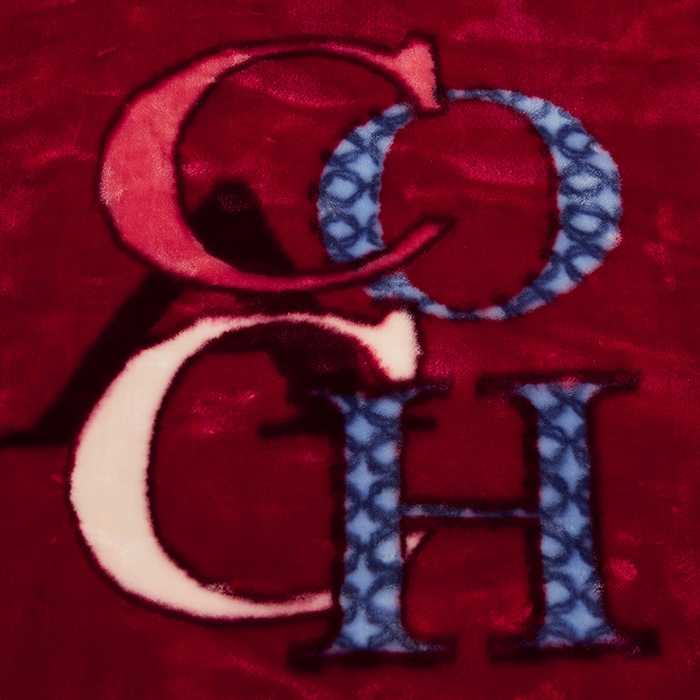 91家纺网 家纺一手货源 找家纺 好艺佳毛毯 2025新款（升级版）拉舍尔毛毯学生毯宿舍婚庆加厚双层毯子绒毯盖毯不掉毛毛毯 升级版-一心一意