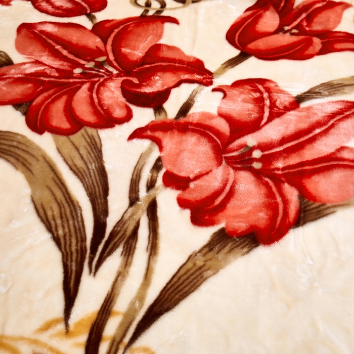 91家纺网 家纺一手货源 找家纺 好艺佳毛毯 2025新款（升级版）拉舍尔毛毯学生毯宿舍婚庆加厚双层毯子绒毯盖毯不掉毛毛毯 升级版-百合仙子