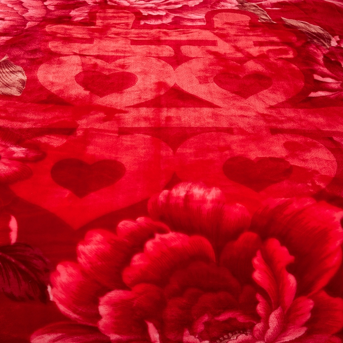 91家纺网 家纺一手货源 找家纺 好艺佳毛毯 2025新款（升级版）拉舍尔毛毯学生毯宿舍婚庆加厚双层毯子绒毯盖毯不掉毛毛毯 升级版-双喜临门