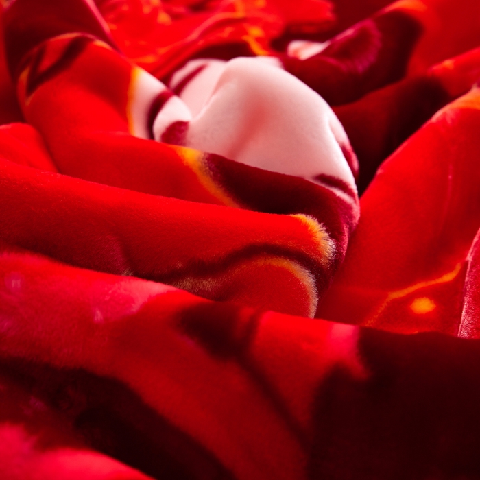 91家纺网 家纺一手货源 找家纺 好艺佳毛毯 2025新款（升级版）拉舍尔毛毯学生毯宿舍婚庆加厚双层毯子绒毯盖毯不掉毛毛毯 升级版-郎才女貌