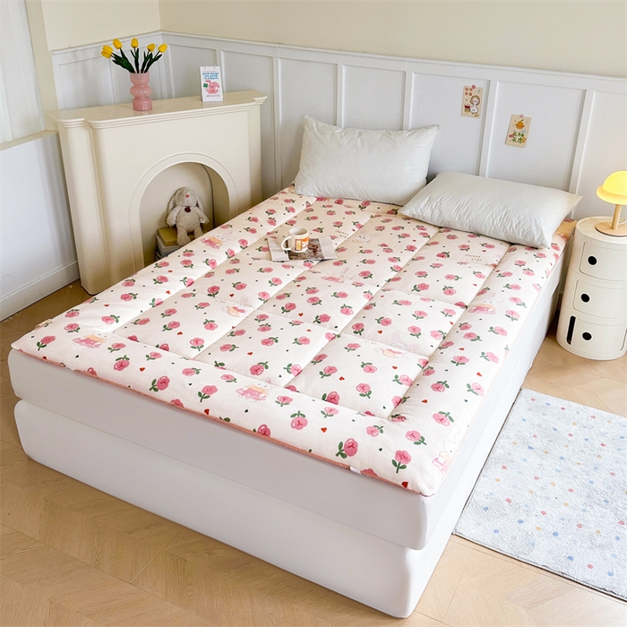 91家纺网 家纺一手货源 找家纺 （总）梵蒂莎 2025新款新疆棉花四季款秋冬两用床垫子褥子学生宿舍印花学生款棉花床褥垫（场景2）（含买家秀）