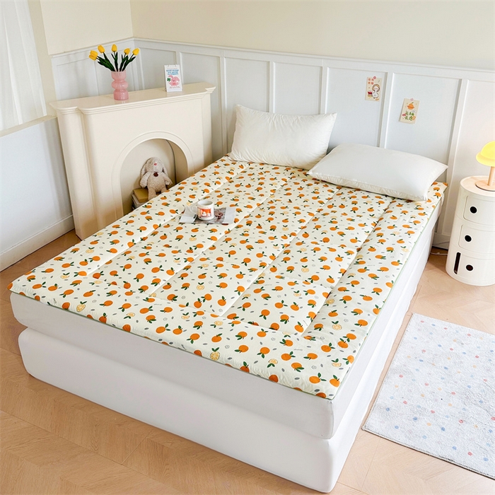 91家纺网 家纺一手货源 找家纺 （总）梵蒂莎 2025新款新疆棉花四季款秋冬两用床垫子褥子学生宿舍印花学生款棉花床褥垫（场景2）（含买家秀）