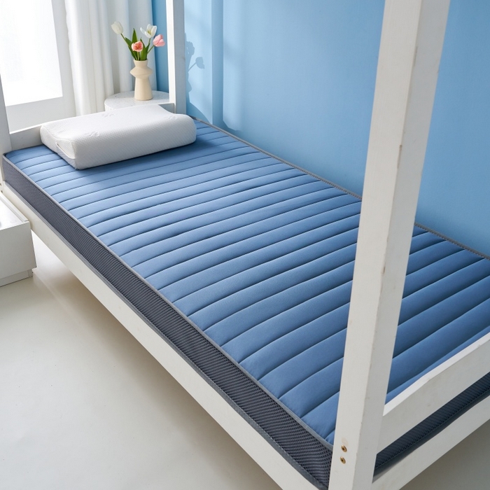 91家纺网 家纺一手货源 找家纺 奇丝雅 2025新款牛奶丝学生宿舍床专用加厚记忆棉海绵立体乳胶床垫【高密记忆棉】 牛奶-灰蓝（9公分）