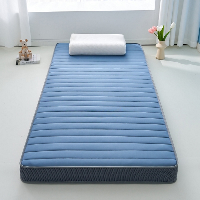 91家纺网 家纺一手货源 找家纺 奇丝雅 2025新款牛奶丝学生宿舍床专用加厚记忆棉海绵立体乳胶床垫【高密记忆棉】 牛奶-灰蓝（9公分）