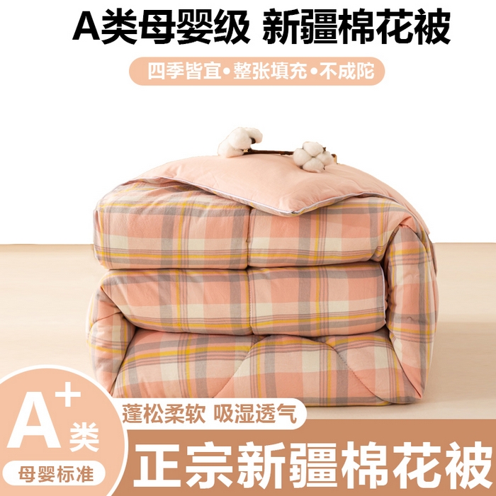 美梦之都 2025新款全棉纯棉A类新疆棉花冬被被子被芯 简夕粉