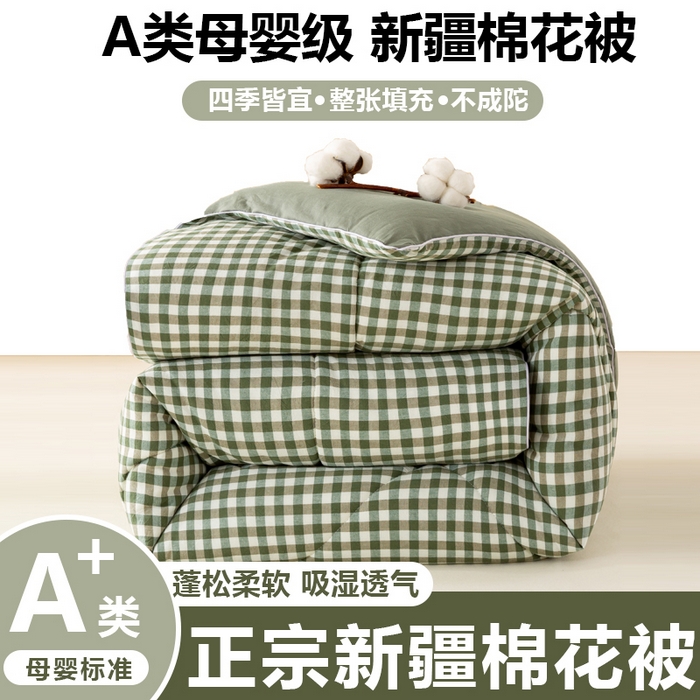 美梦之都 2025新款全棉纯棉A类新疆棉花冬被被子被芯 绿小格