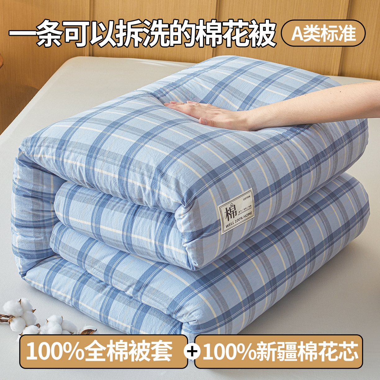 91家纺网 家纺一手货源 找家纺 西域种棉人·千百笠 2025新款A类可拆卸里外全棉100%新疆棉花被子冬被全棉单人学生宿舍加厚保暖春 森蓝格