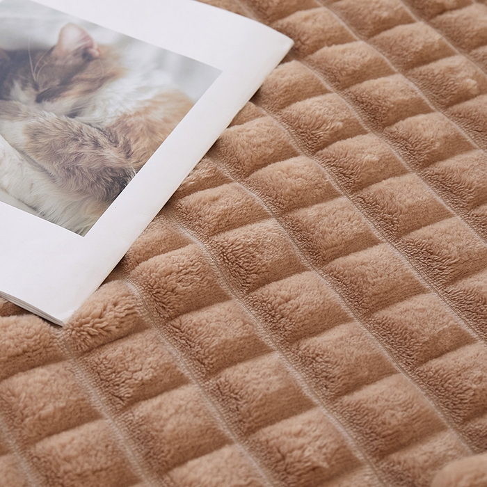 91家纺网 家纺一手货源 找家纺 楼兰公主2025新款云感梦境毛球毯  焦糖咖