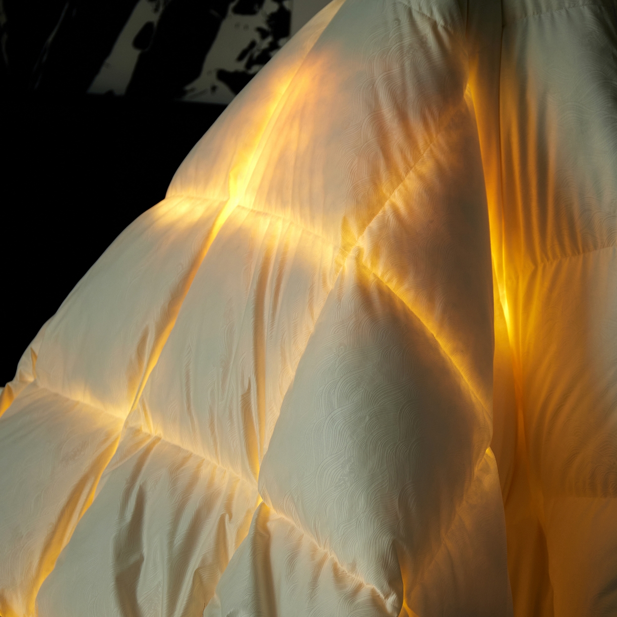 91家纺网 家纺一手货源 找家纺 御眠纺羽绒被壳 2025新款高精密全棉提花高端羽绒被壳羽绒被 白色