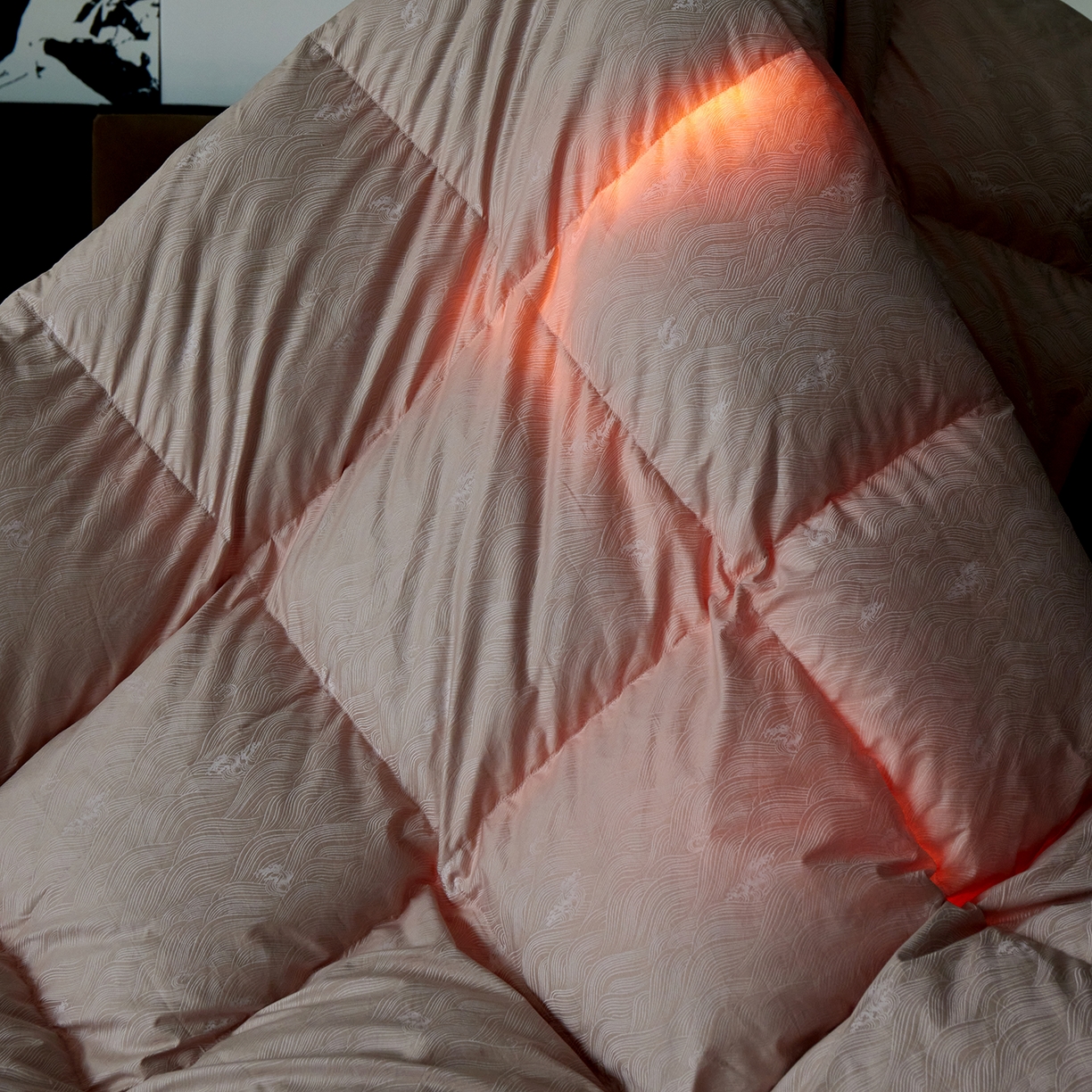 91家纺网 家纺一手货源 找家纺 御眠纺羽绒被壳 2025新款高精密全棉提花高端羽绒被壳羽绒被 粉色