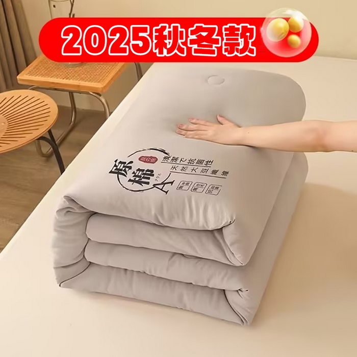 （总）兄弟坊 2025新款A类水洗原棉大豆纤维夏被春秋被冬被