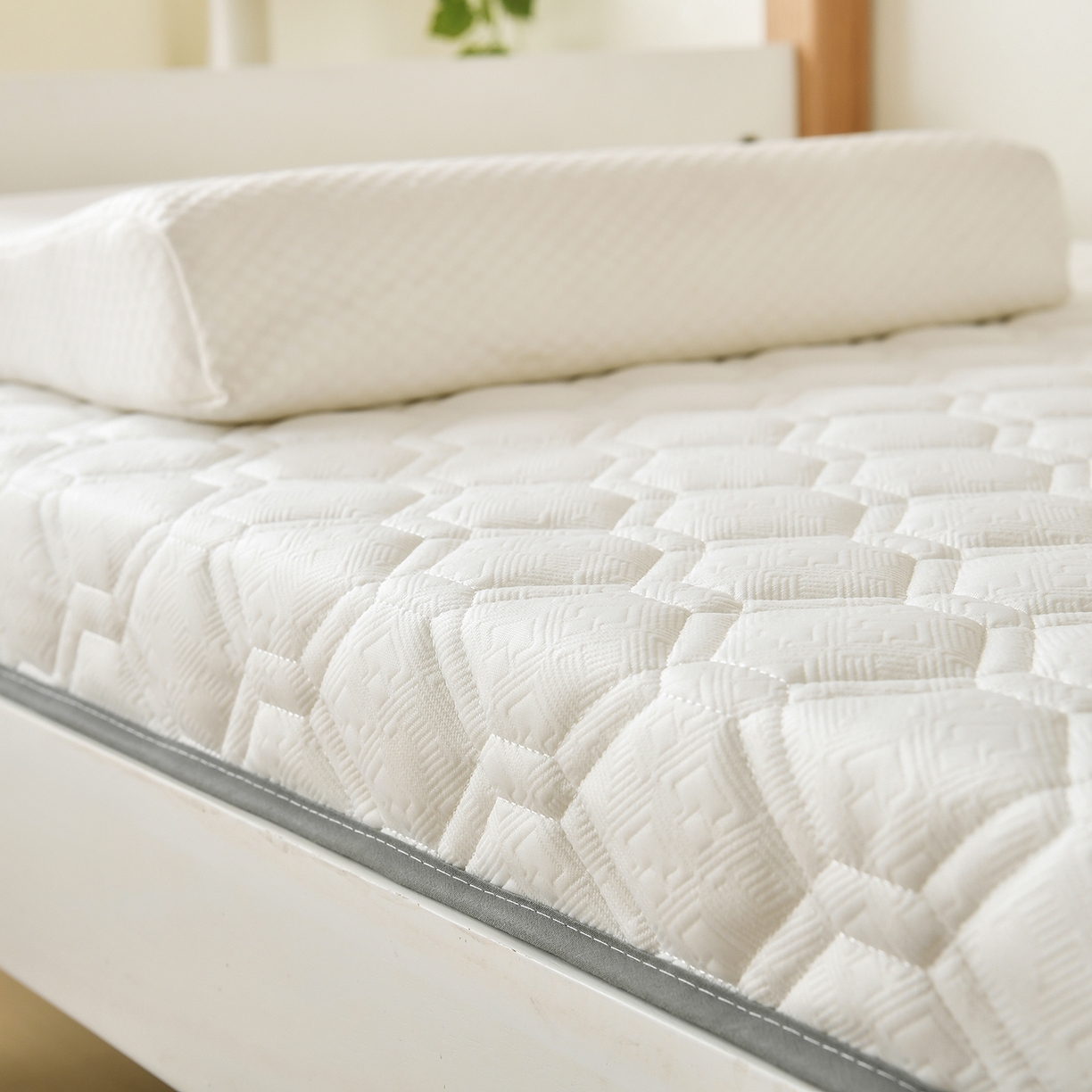 91家纺网 家纺一手货源 找家纺 （总）乳胶床垫遮盖物软垫单人学生宿舍家用榻榻米海绵垫褥租房地铺抗菌