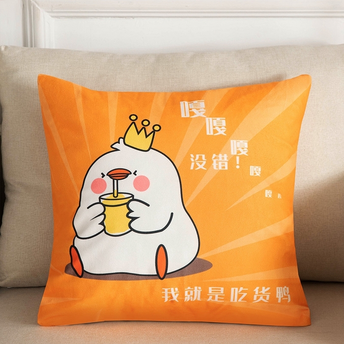 91家纺网 家纺一手货源 找家纺 （总）新奇异 2025新款卡通抱枕 （支持定制）