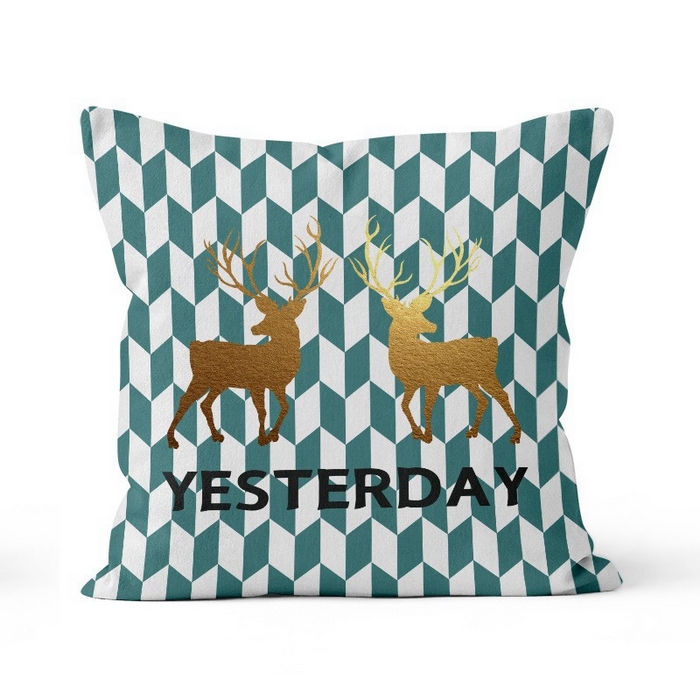 91家纺网 家纺一手货源 找家纺 （总）新奇异 2025新款卡通抱枕 （支持定制）