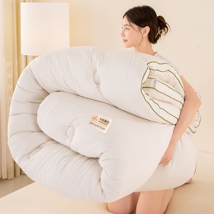 恋之巢家纺 2025新款全棉大豆蛋白纤维冬被婚庆被子被芯春秋被直播外贸批发  奶白