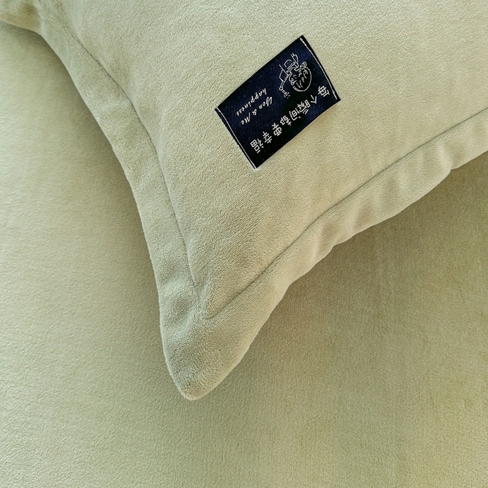 91家纺网 家纺一手货源 找家纺 莱越家纺 2025新款高克重牛奶绒纯色贴标款四件套（8斤重） 贴标-牛奶果绿