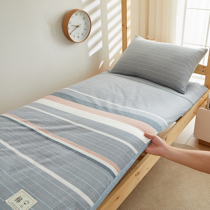 2024新款水洗棉可拆洗棉花学生床垫床褥垫褥子床垫 流年灰