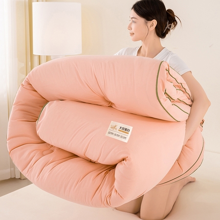 恋之巢家纺 2025新款全棉大豆蛋白纤维冬被婚庆被子被芯春秋被直播外贸批发  胭脂玉