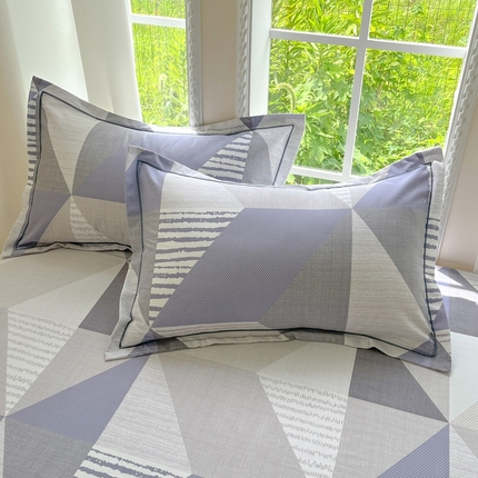 莱通家纺 2025新款新疆棉加厚生态磨毛印花单枕套 创意几何