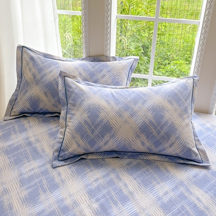 91家纺网 家纺一手货源 找家纺 （总）莱通家纺 2025新款新疆棉加厚生态磨毛印花单枕套