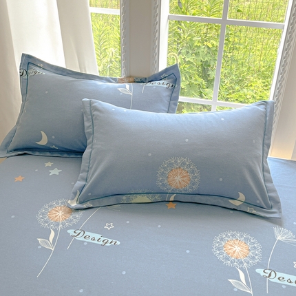 莱通家纺 2025新款新疆棉加厚生态磨毛印花单枕套 蒲公英