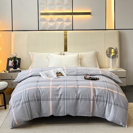 凌鼎 2025新款喷气加厚磨毛单被套 法兰克灰