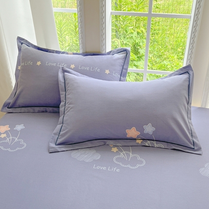 莱通家纺 2025新款新疆棉加厚生态磨毛印花单枕套 春天里