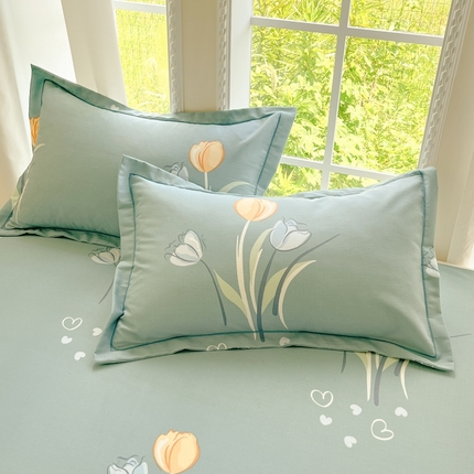 91家纺网 家纺一手货源 找家纺 （总）莱通家纺 2025新款新疆棉加厚生态磨毛印花单枕套