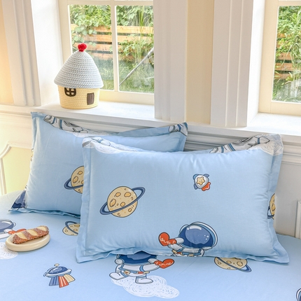 91家纺网 家纺一手货源 找家纺 （总）帛织澜家纺 2025新款12868全棉喷气印花枕套