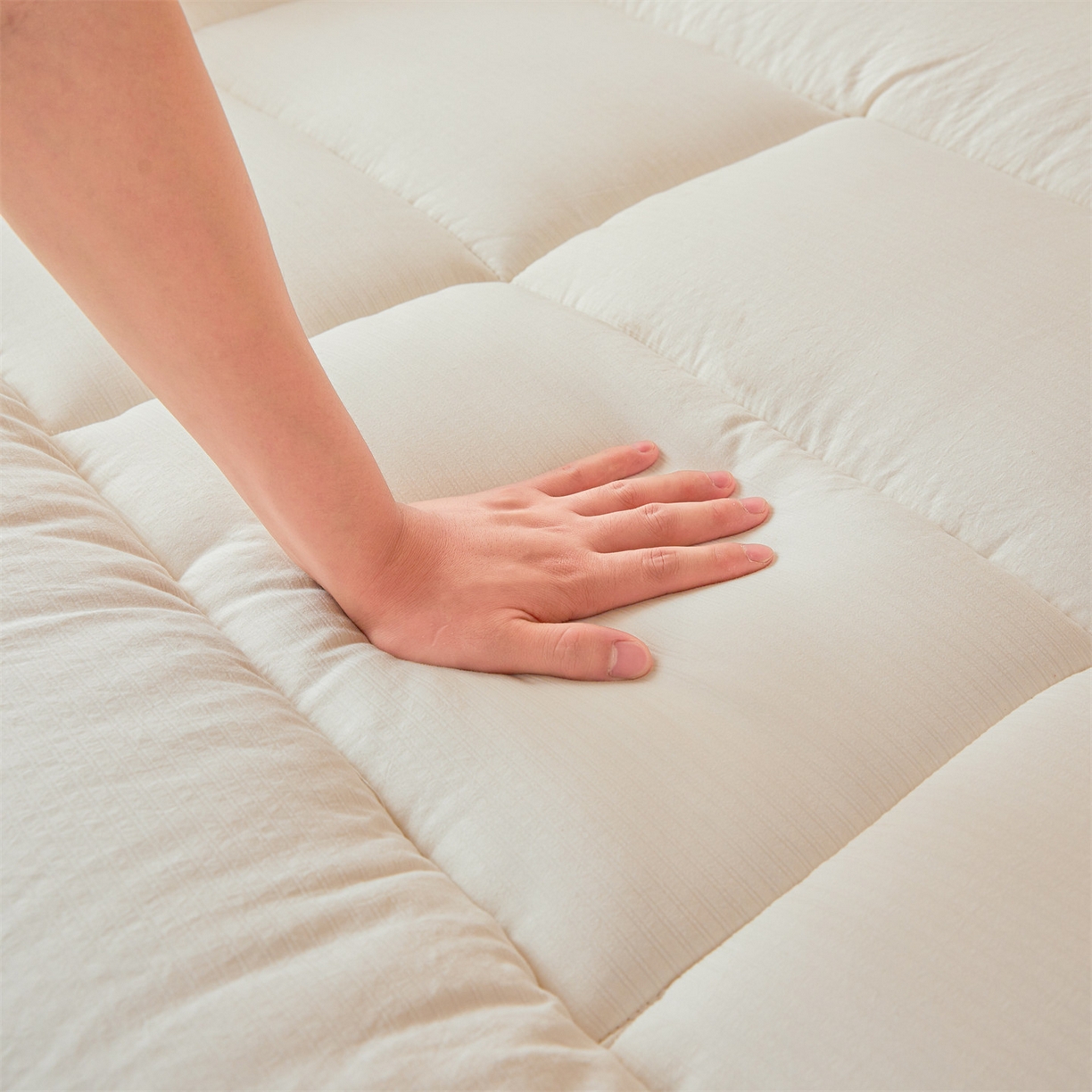 91家纺网 家纺一手货源 找家纺 （总）梵蒂莎 2025新款纯色烫画棉花学生床垫场景一