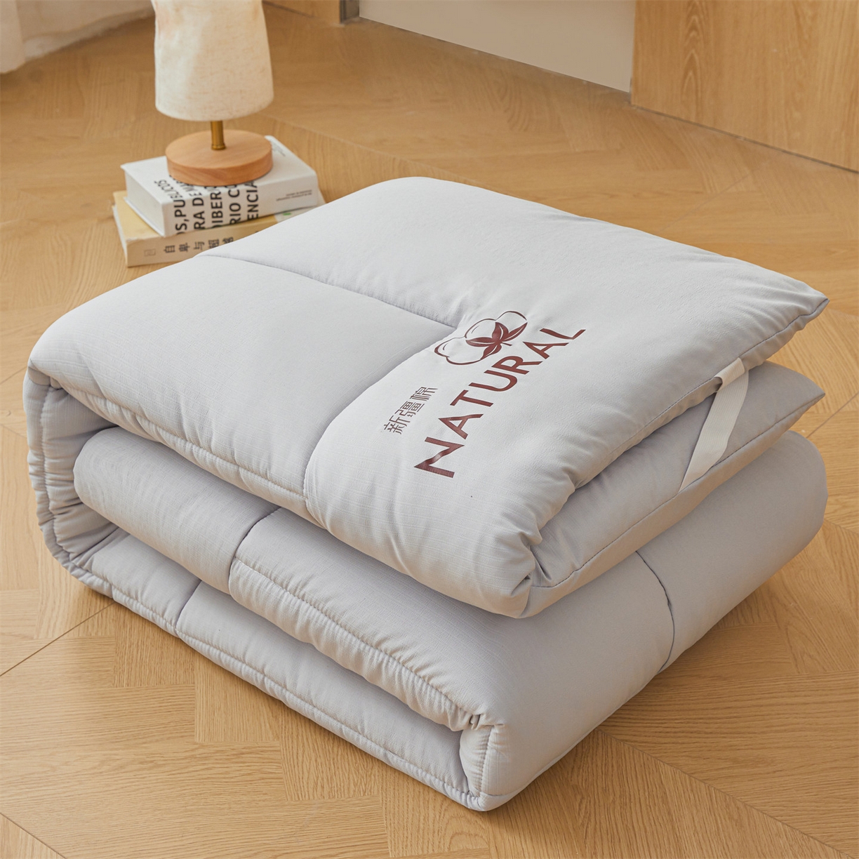 91家纺网 家纺一手货源 找家纺 梵蒂莎 2025新款纯色烫画棉花床垫学生款场景一 冰川灰