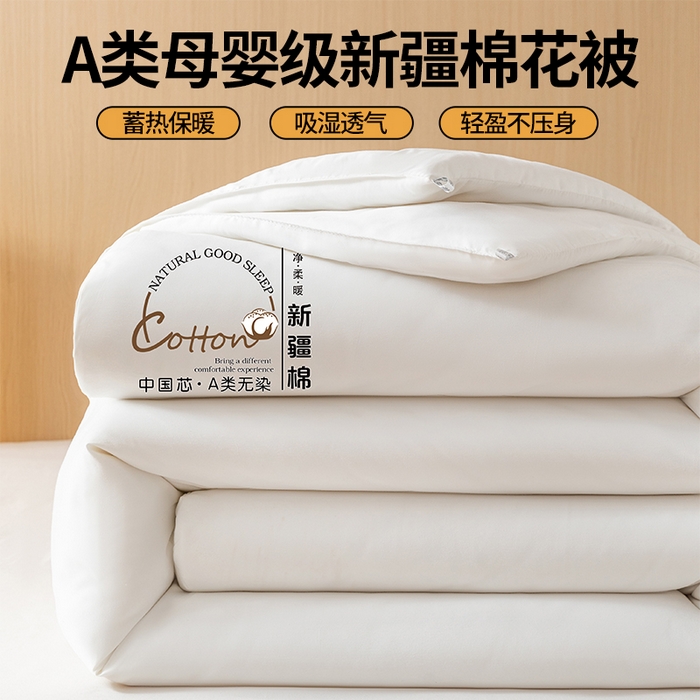 91家纺网 家纺一手货源 找家纺 （总）好宜家纺 2025新款新疆棉花被芯被子冬被春秋被棉花床垫褥子垫学生宿舍鱼鳞网纱棉胎被褥子 【批发团购价更优】【免费提供快递袋】【量大免费送货上门】